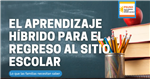 hibrido 